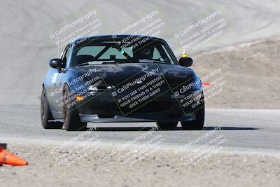 media/Apr-28-2024-Speed SF (Sun) [[c704f5d5b5]]/Blue/Phil Hill/